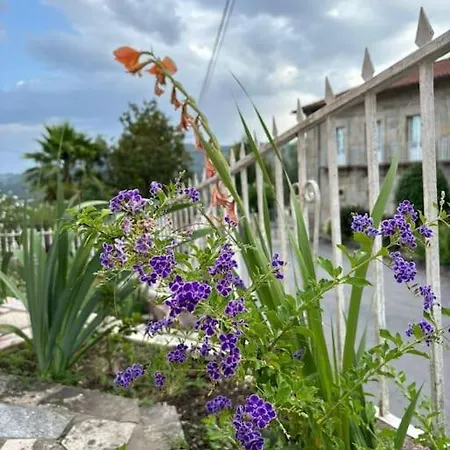 Tatil Evi Casa Oliveiras Celorico De Basto