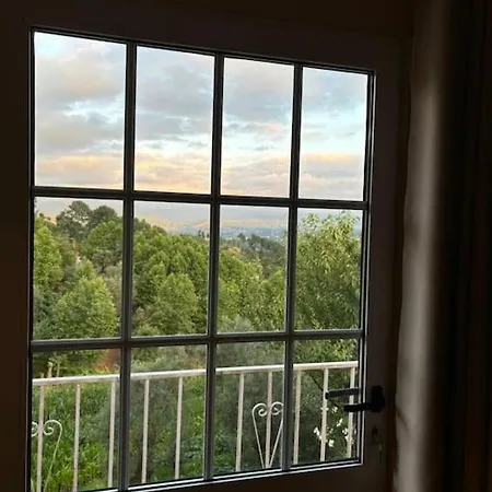 Casa Oliveiras * Celorico De Basto